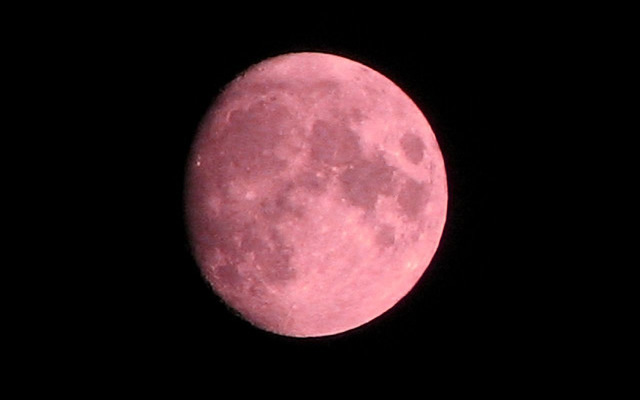 luna-rosa-.jpg